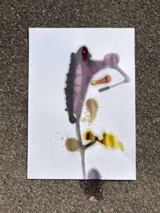 karmozijnbesinkttekening