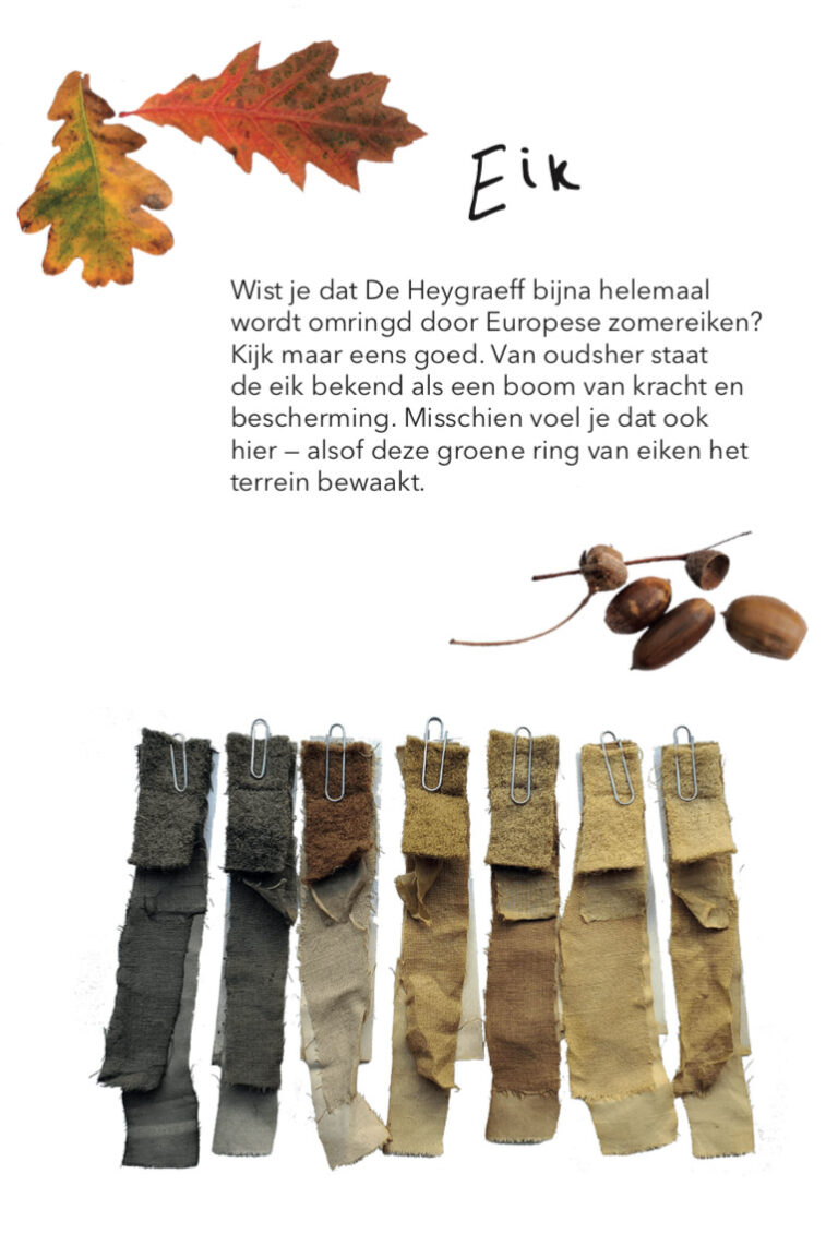 Kleurenlab_eik