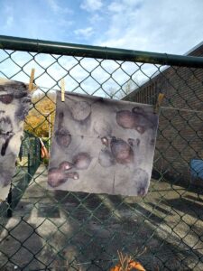 Kleurenlab_nina_van_hartskamp_4