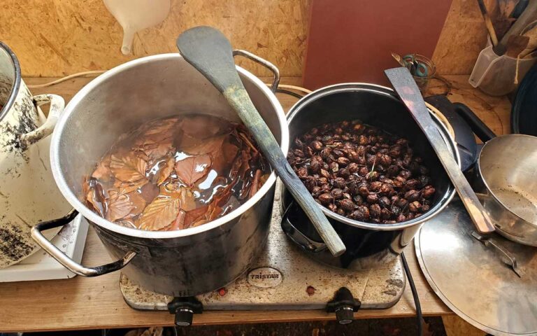 Kleurenlab_nina_van_hartskamp_6