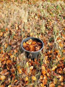 Kleurenlab_nina_van_hartskamp_8