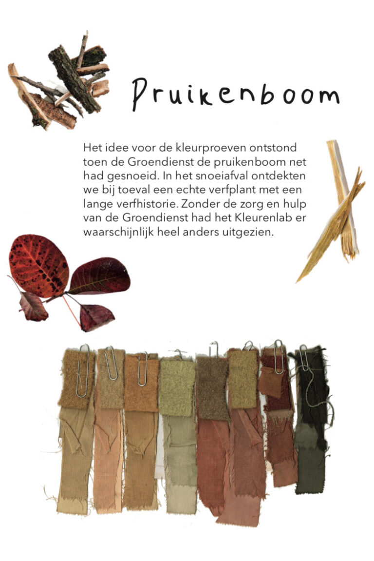 Kleurenlab_pruikenboom