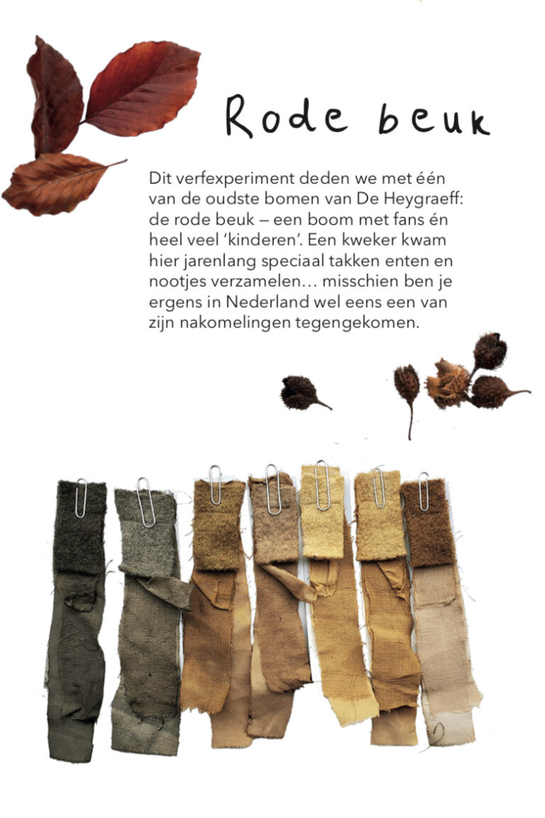 Kleurenlab_rodebeuk