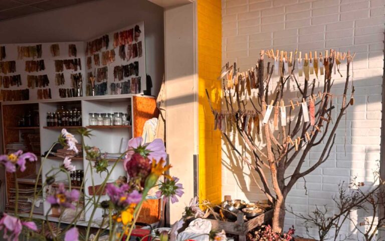 b3b24f1e-be43-4afe-8fb3-e645106a2f98