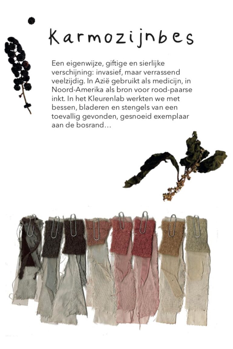 kleurenlab_karmozijn